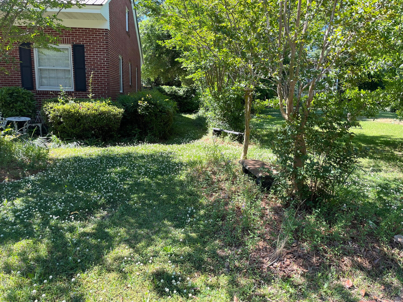 Before Yard Cleanup Chadbourn, NC